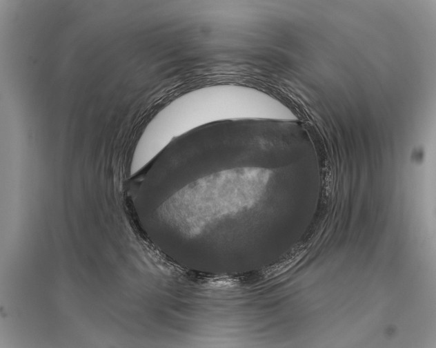 X0000094900283200712201141