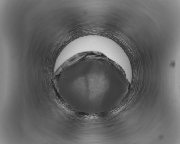 X0000094900284200712201141