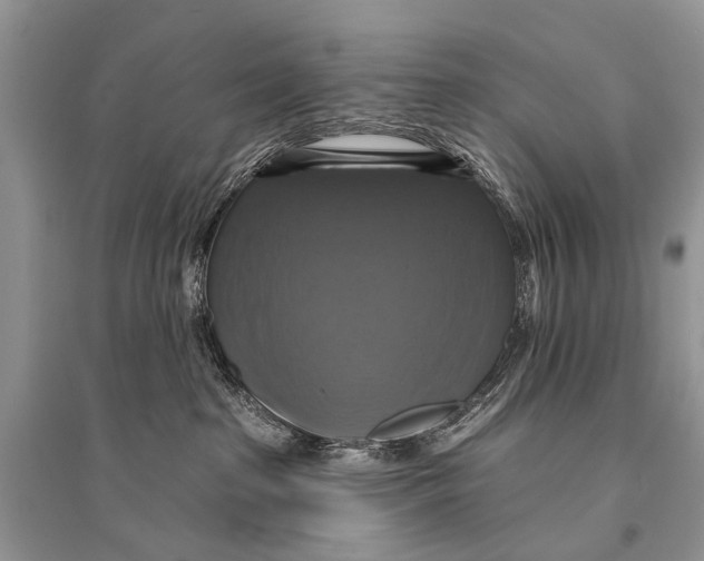 X0000094900285200712201141