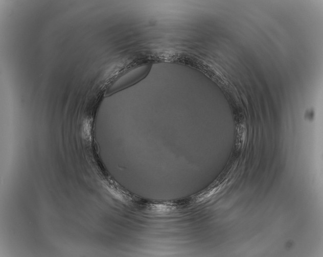 X0000094900286200712201141