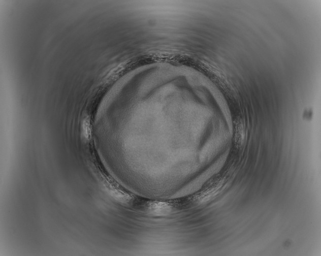 X0000094900287200712201141