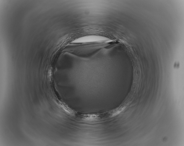 X0000094900288200712201141