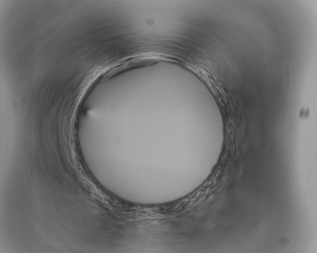 X0000094900289200712201141