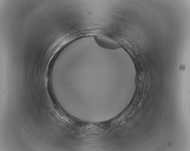 X0000094900290200712201141