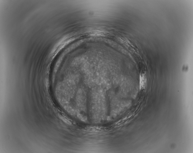 X0000094900291200712201141