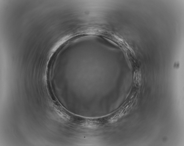 X0000094900292200712201141