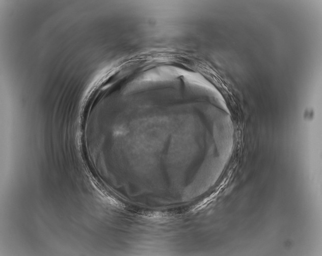 X0000094900293200712201141