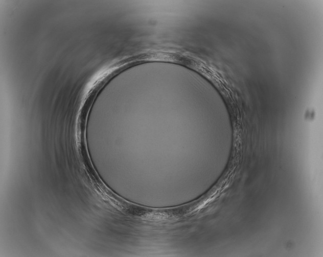 X0000094900294200712201141