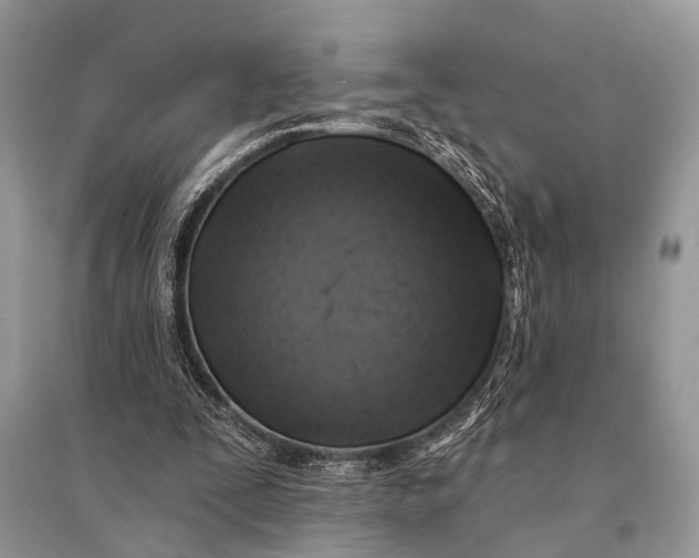 X0000094900295200712201141