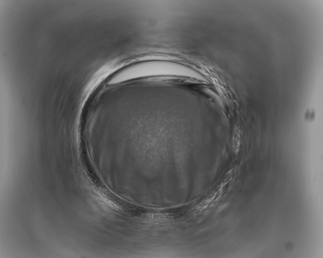 X0000094900296200712201140