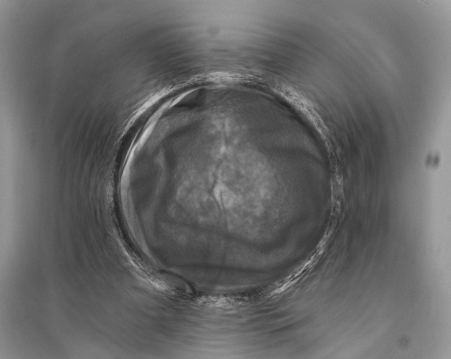 X0000094900297200712201140