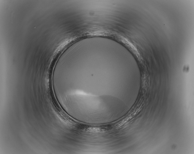 X0000094900298200712201140