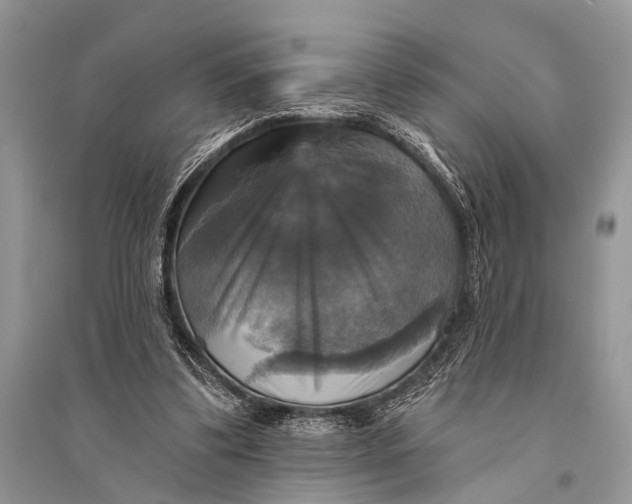 X0000094900299200712201140