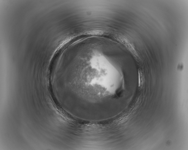 X0000094900300200712201140