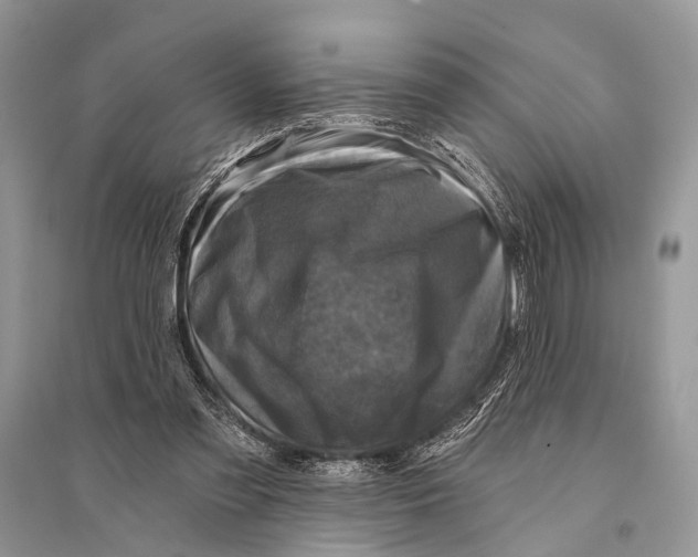 X0000094900301200712201140