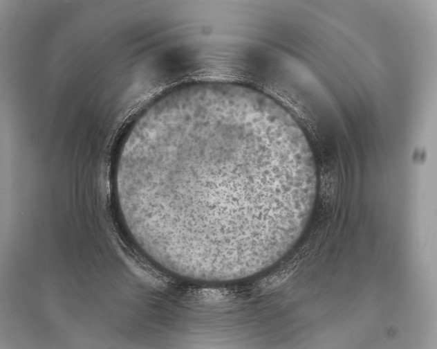 X0000094900302200712201140