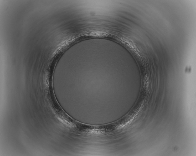 X0000094900303200712201140