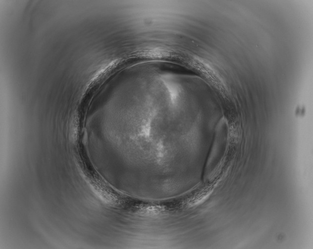 X0000094900304200712201140