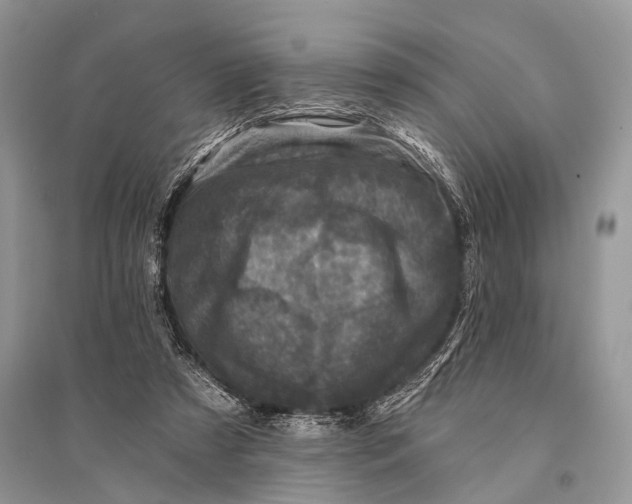 X0000094900305200712201140