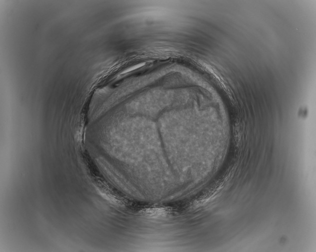 X0000094900307200712201140