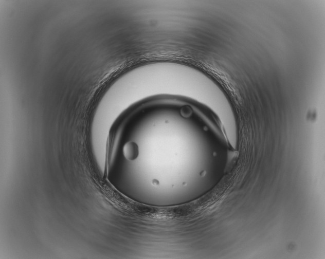 X0000094900308200712201140