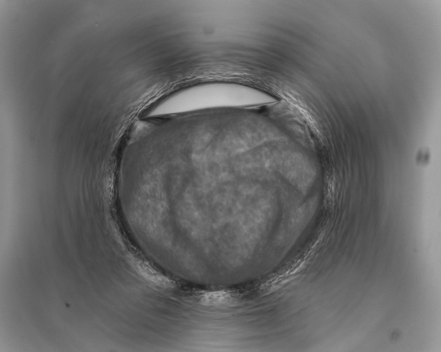 X0000094900309200712201140