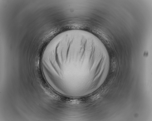 X0000094900310200712201140