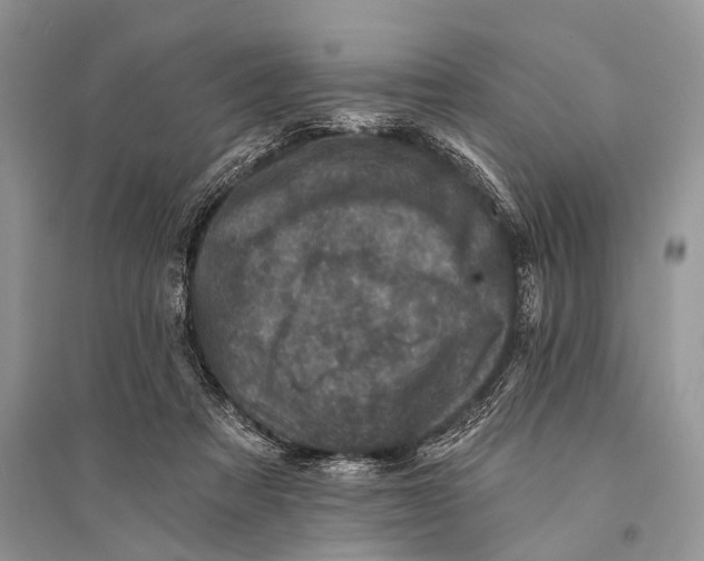 X0000094900313200712201140