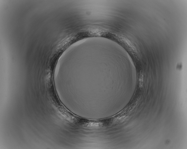 X0000094900314200712201140