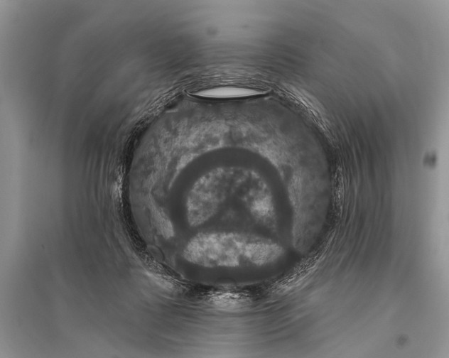 X0000094900315200712201140