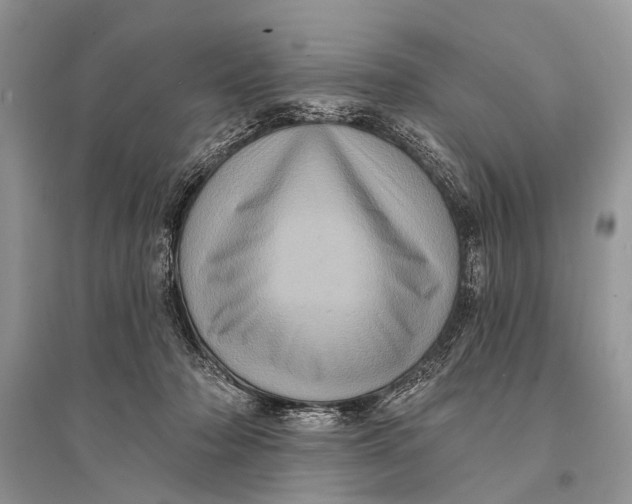 X0000094900318200712201140