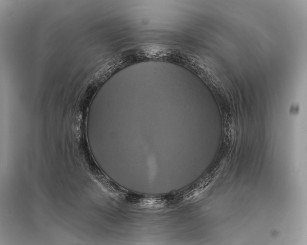 X0000094900319200712201140