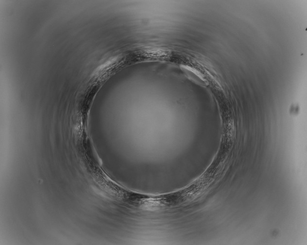 X0000094900320200712201140