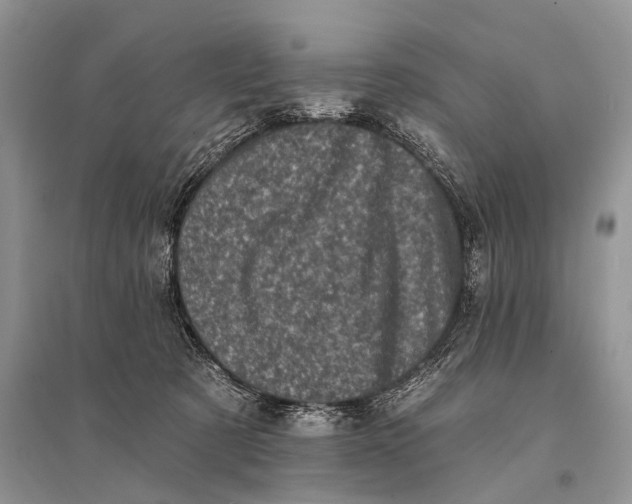 X0000094900321200712201140