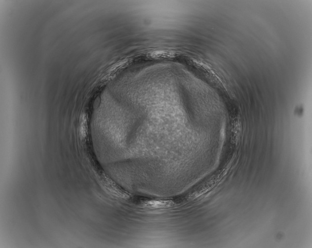 X0000094900323200712201140