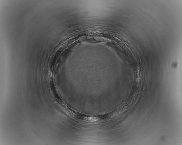 X0000094900324200712201140