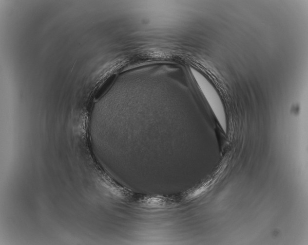 X0000094900325200712201140