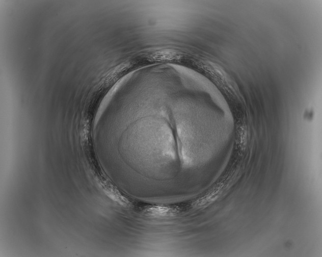 X0000094900326200712201140