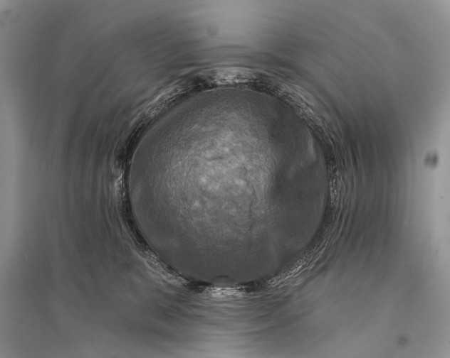 X0000094900327200712201140