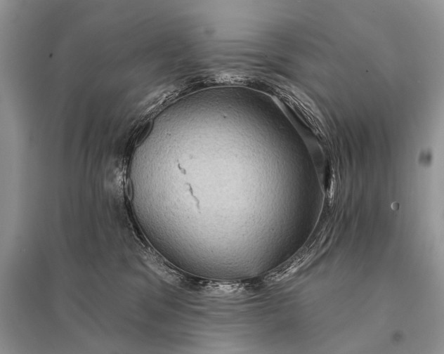 X0000094900329200712201140