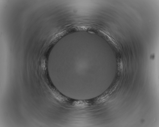 X0000094900331200712201140