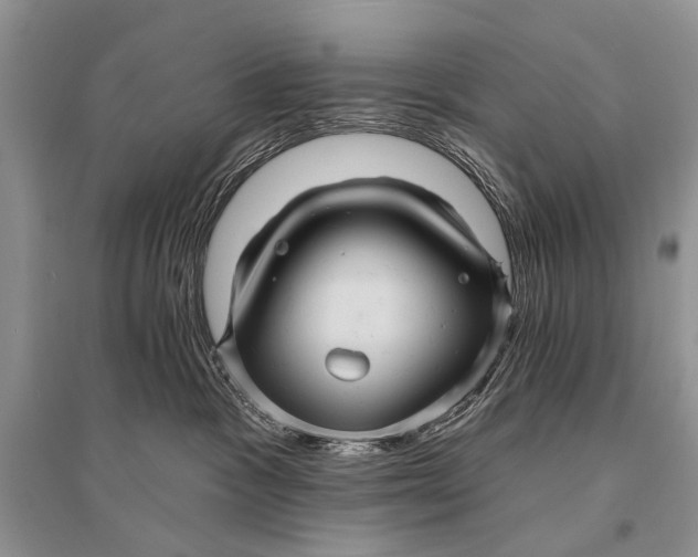 X0000094900333200712201140