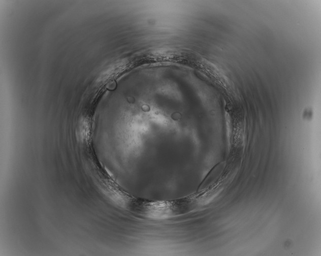 X0000094900335200712201140