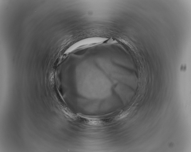 X0000094900336200712201140