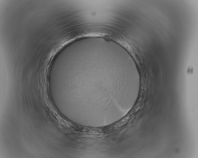 X0000094900337200712201139