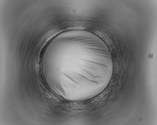 X0000094900338200712201139