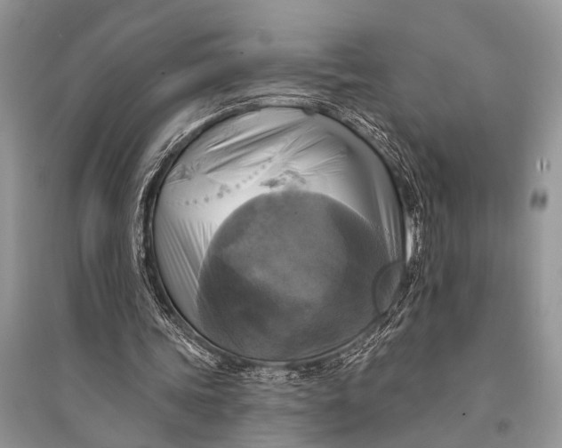 X0000094900339200712201139