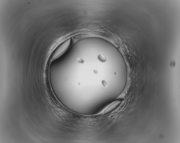 X0000094900340200712201139