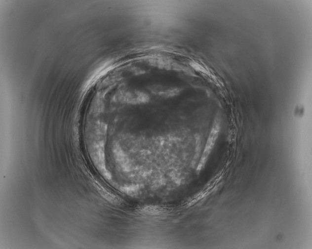 X0000094900341200712201139