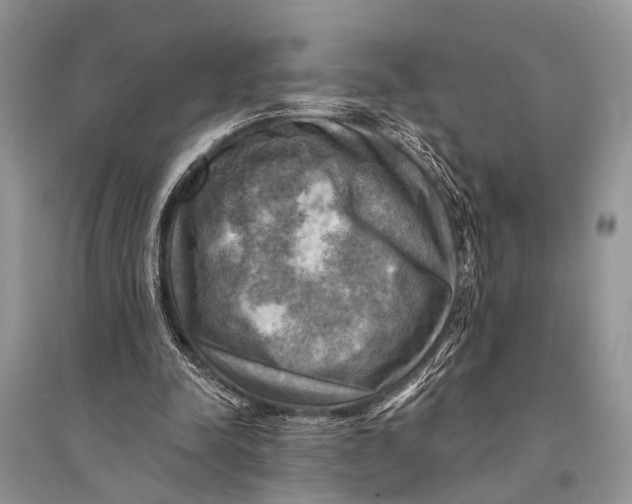 X0000094900342200712201139